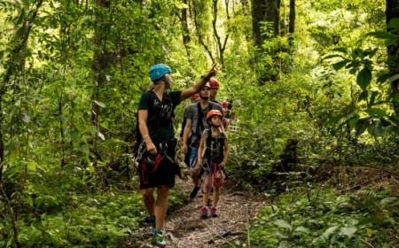 Dansey Road Scenic Reserve by Jen Cook Rotorua Canopy Tours