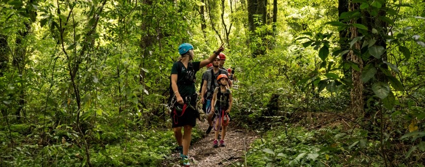 Dansey Road Scenic Reserve by Jen Cook Rotorua Canopy Tours