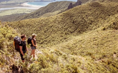 Great Barrier Island