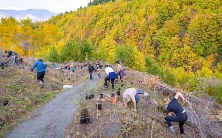Arrowtown Choppers Native Planting from April 2021