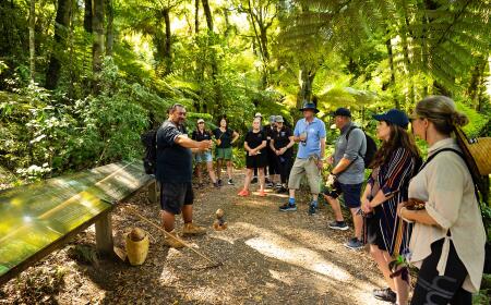 Sanctuary Mountain Maungatautari Guided Moa Hunter Tour   Southern Enclosure (1)
