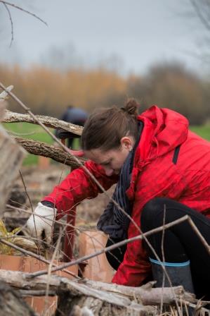 YHA tree planting