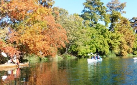 Christchurch Sea Kayaking on the Avon River