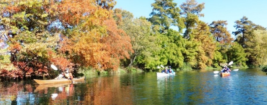 Christchurch Sea Kayaking on the Avon River