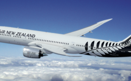 Air New Zealand Plane